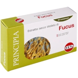 fucus estratto secco - fat burner supplement 60 tablets