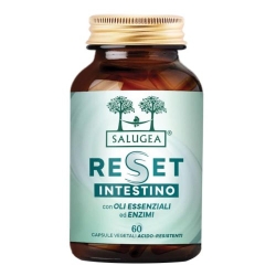 Reset Intestine 60 Capsules - Supplement for intestinal function