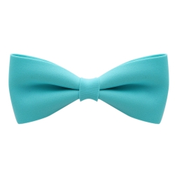 Beak - Hair Accessory with Blue Bow