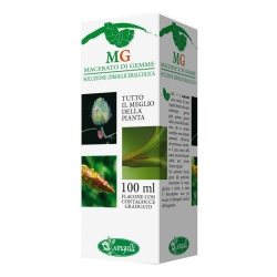 Silver Lime (Tilia tomentosa) 100 ml - Supplement for relaxation and sleep