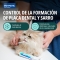 Enzyme Toothpaste for Oral Hygiene of Dogs and Cats 70 gr