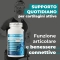 Fluid Motion 60 Capsules - Supplement for Cartilage and Connective Tissue