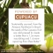 Cupuacu BIO - Repairing Shampoo for Very Dry Hair 400 ml