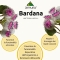 Burdock E.T. Total Extract 30 ml - Purifying and draining supplement for the skin