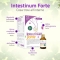 Intestinum Forte 18 Vials - Supplement for intestinal regularity and sensitive intestines