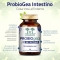 ProbioGea Intestine 60 Acid-Resistant Vegetable Capsules - Supplement for Intestinal Flora