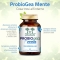 ProbioGea Mente 60 Acid-Resistant Vegetable Capsules - Mood Supplement