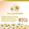 Sensitive - 54 Wipes with Chamomile for Sensitive Skin with Plaque