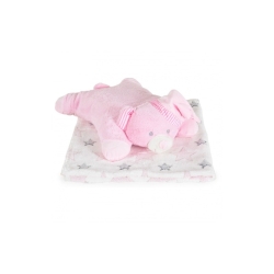 Baby Gift Set - Soft Fleece Blanket and Pink Teddy Bear Pillow