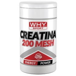 Whysport Creatine 200 Mesh - Performance Supplement 500g