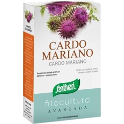 Milk Thistle 40 Capsules - Liver Supplement