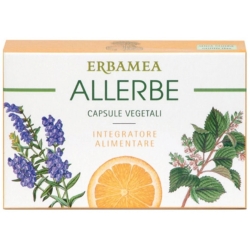 Allerbe - Seasonal Defence Supplement 24 Capsule