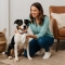 40 Scented Wipes for Dogs, Cats, and Pets
