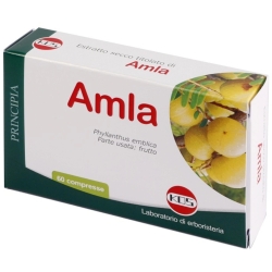 Amla Estratto Secco - Antioxidants Supplement 60 tablets