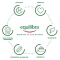 Equilibra Probio 8 Billion - Lactic Ferments Supplement 10 Vials