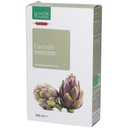 Ligne De Plantes Artichoke 20 15 ml Ampoules - Purifying Supplement