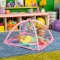 Floral Safari Activity Gym + 4 Toys Included