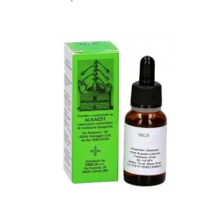 Mgs16 Currant Spagyric Glycerin Macerate 20 ml