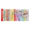 Swing Cool Nature Desk - 18 Highlighters with 6 Nature Colors and 12 Pastel Double Tip 1 mm and 4 mm