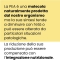 Élève Niki Natural Alchemy Palmitoylethanolamide (PEA) 60 Tablets - Supplement for pain and inflammation