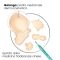 Klorane Anti-Dandruff Rebalancing Treatment Shampoo with Galangal 200ml