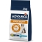 Advance Veterinary Diets Weight Balance Medium Maxi - Dry food for adult dogs, medium/maxi weight control, 3 kg