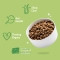 Grain-Free Lamb - Complete food for adult dogs with sensitive stomachs 2.5 kg