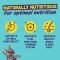 Grass-Fed Lamb Adult Dogs - Complete food for adult dogs with sensitive stomachs, grain-free, 12 kg