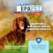 Aloeplus Epapet (+11kg) - Natural Liver Supplement Capsules for Dogs and Cats 60 Capsules