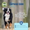Aloeplus 60 capsules - Complementary supplement for dogs weighing up to 11 kg