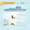 Aloeplus 60 capsules - Energy supplement for dogs and cats up to 11 kg