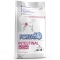 Forza 10 Intestinal Active - Complete food for dogs with food intolerances and intestinal health 4 kg