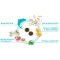Forza 10 Puppy Junior Diet with Fish - Complete food for puppies of all sizes 1.5 kg