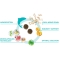 Forza 10 Medium Diet with Fish - Complete food for adult dogs with intolerances 1.5 kg