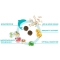 Forza 10 Medium Diet with Fish - Complete dietary food for adult dogs with food intolerances 12 kg