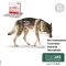 Normalia Fast 100 capsules - Complementary dietary food for dogs and cats with acute diarrhea
