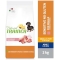 Sensitive No Gluten Adult Small & Toy Pork - Complete Dog Food 2 Kg