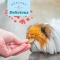 Natural Science Multi Vitamin - Vitamin supplement for rabbits, guinea pigs and rodents 120 g