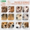 Superior Care Red Coat Small Salmon - Complete food for small dogs with red coats 10 kg