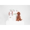 Superior Care Red Coat Small Lamb - Complete food for small breed dogs with red coats 1.5 kg