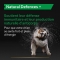 Purina Pro Plan Supplements Natural Defences + - Complementary food for adult dogs 45 tablets