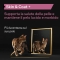 Purina Pro Plan Supplements Skin & Coat Salmon - Complementary food for adult cats for skin and coat 150 ml