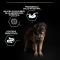Purina Pro Plan Lamb - Complete food for adult dogs, large robust, sensitive digestion, 14 kg