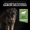 Purina Pro Plan Lamb - Complete food for adult dogs, large robust, sensitive digestion, 14 kg