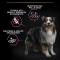 Purina Pro Plan Salmon - Complete food for senior dogs M/L with sensitive skin 14 kg