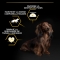 Purina Pro Plan Small Mini Adult Light Sterilized Chicken - Food for small/mini light or sterilized adult dogs 3kg