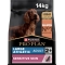 Purina ProPlan Adult Large Athletic Sensitive Skin Salmon - Complete food for sensitive adult dogs 14 kg