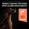 Purina ProPlan Adult Large Athletic Sensitive Skin Salmon - Complete food for sensitive adult dogs 14 kg