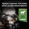 Purina ProPlan Sensitive Digestion Lamb - Complete food for adult dogs of medium breeds with sensitive digestion 3 kg
