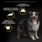 Purina Proplan Light Chicken - Complete food for adult dogs of all sizes, sterilized, light, 14 kg